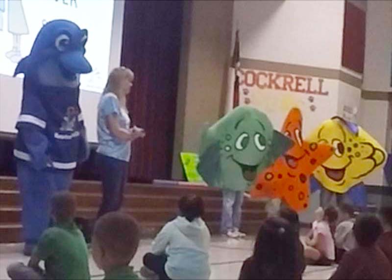 houston swim club water safety presentations safer3pres